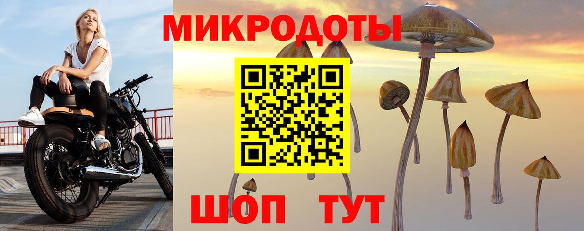 Тимашёвск  Псилоцибиновые грибы Magic Shrooms  Вход с VPN 